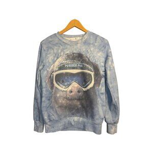 Linzi Yong 1981 Sweater Crewneck Women's Size M Powder Pig Snowboarding Blue